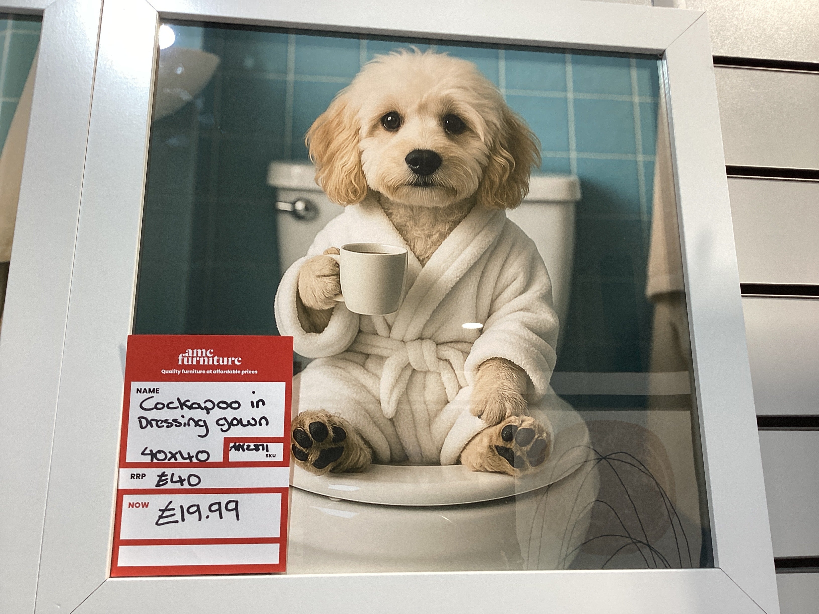 Cockapoo in dressing gown 40X40 AN2811 FN39 WHITE PLAIN - AMC Furniture