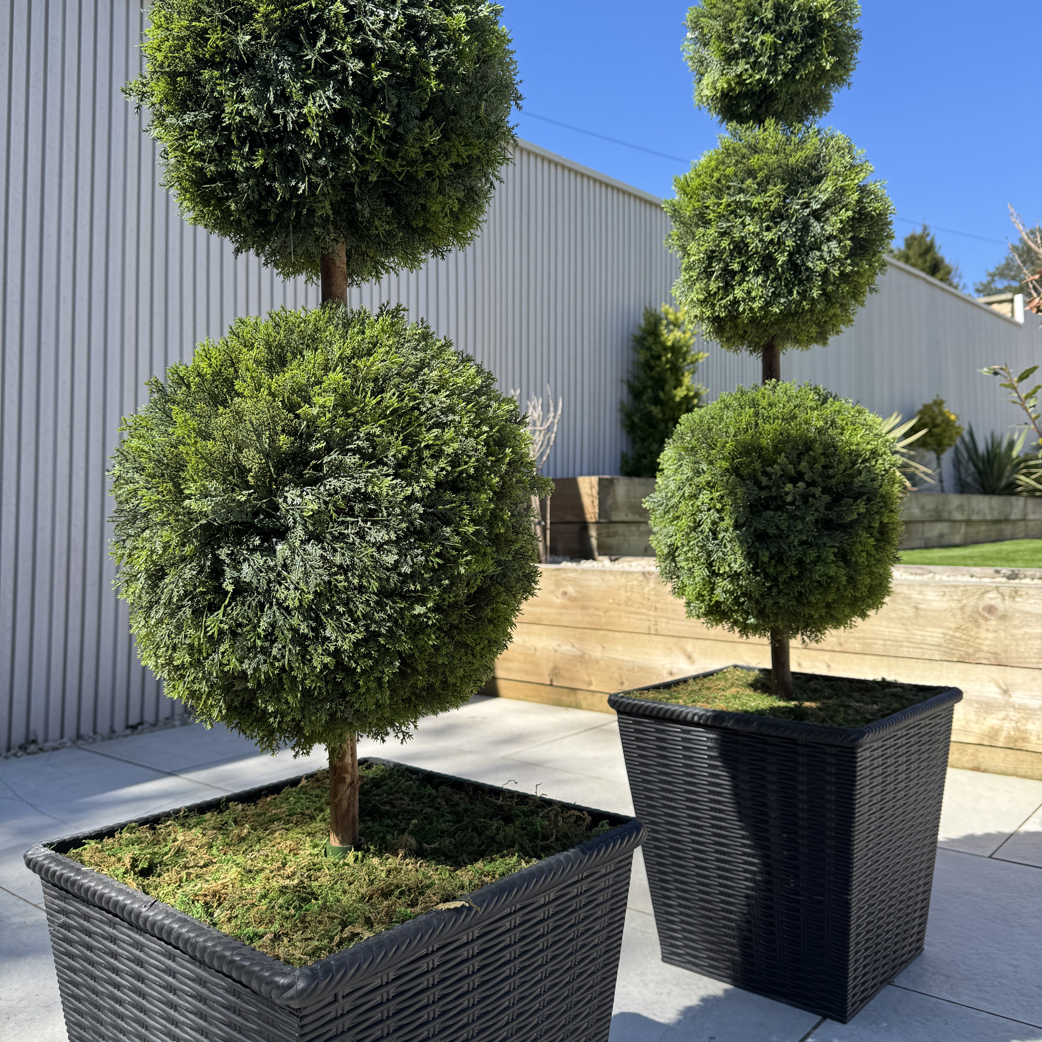 Pair of Artificial Topiary Ball Trees – UV Resistant & Maintenance-Free - AMC Furniture