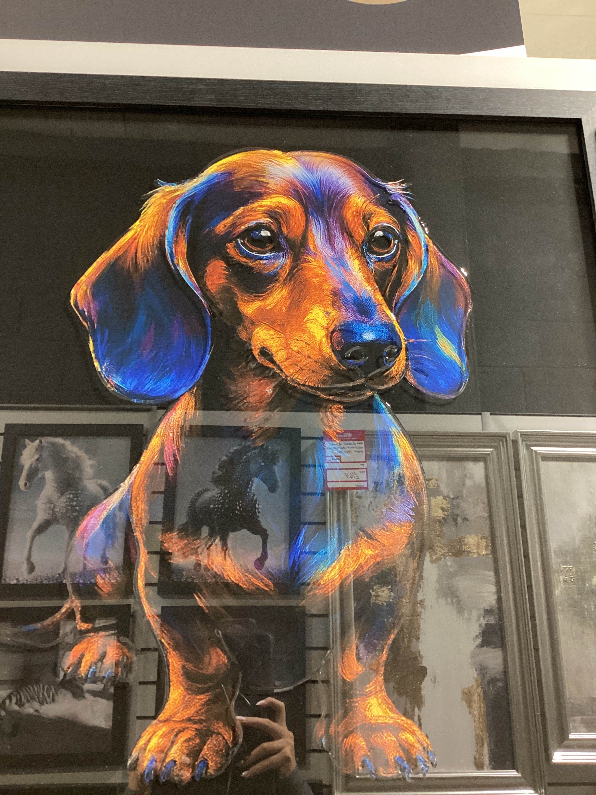 Colourful sausage dog 70X70 AN2884 FN39 BLACK LA - AMC Furniture