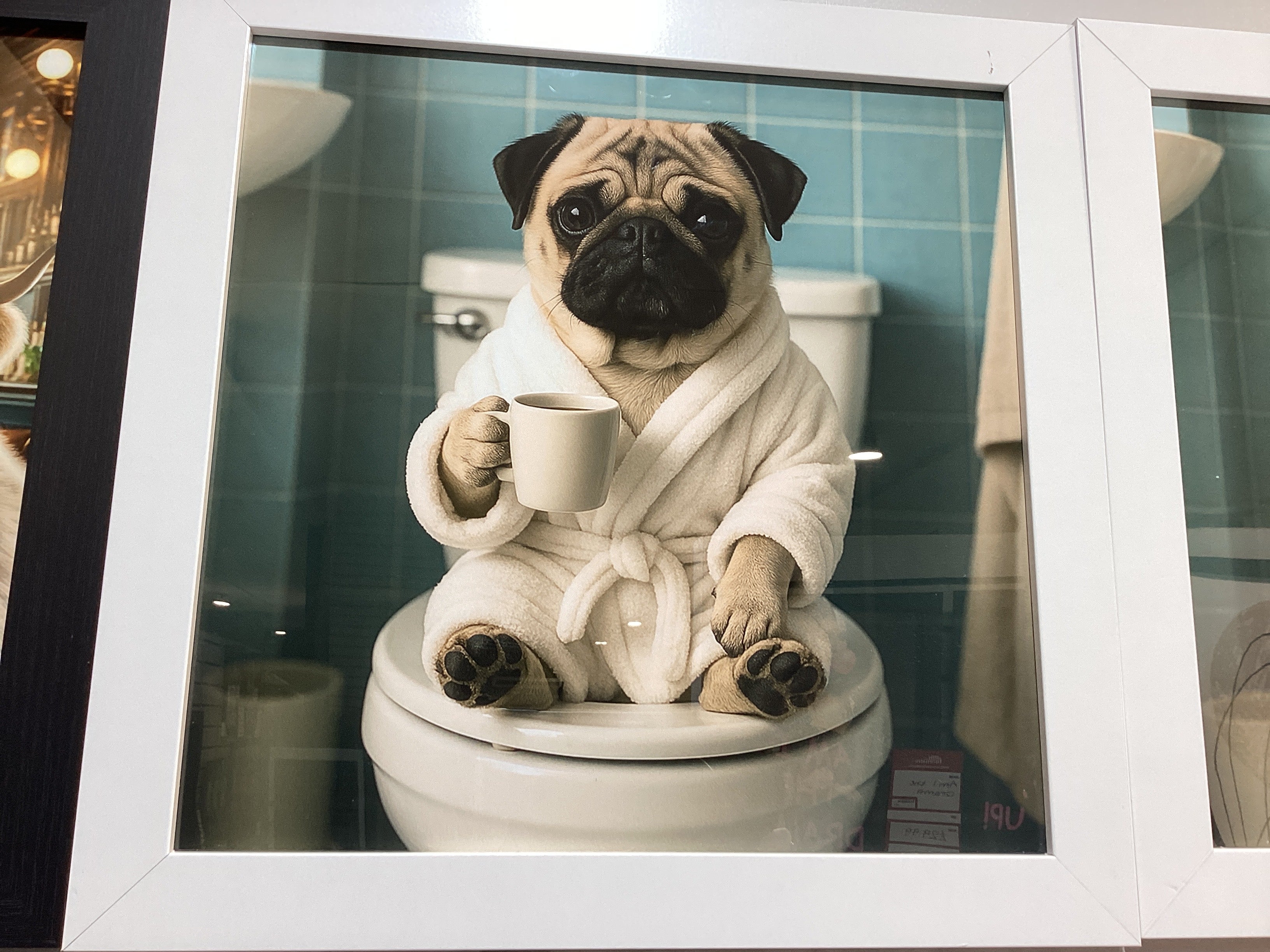 Pug in dressing gown 40X40 AN2810 FN39 WHITE PLAIN - AMC Furniture