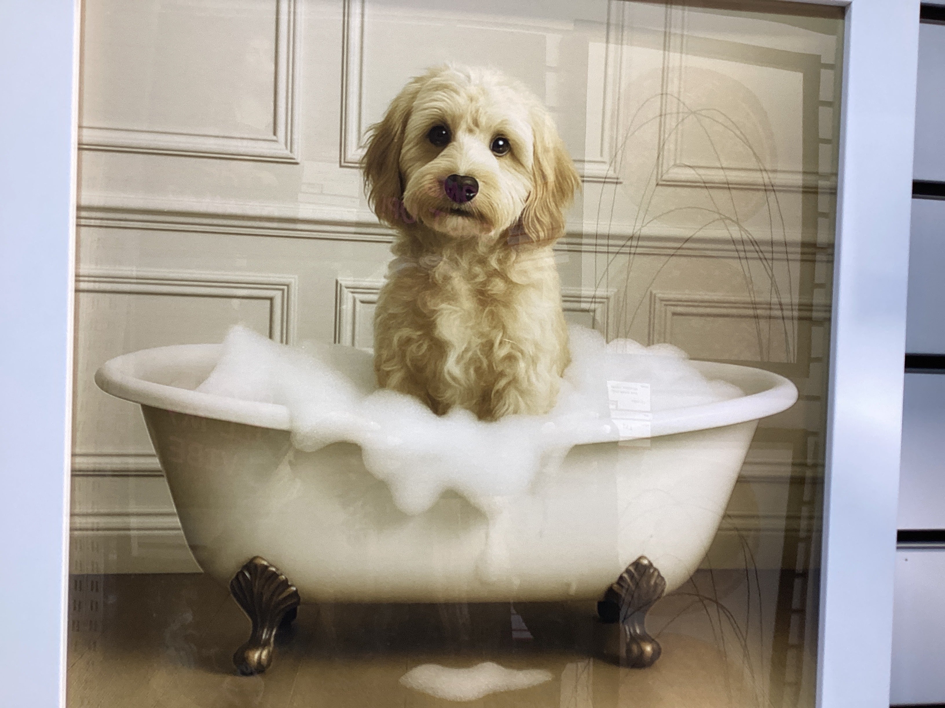 Cockapoo in bath 40X40 AN2762 FN39 WHITE PLAIN - AMC Furniture