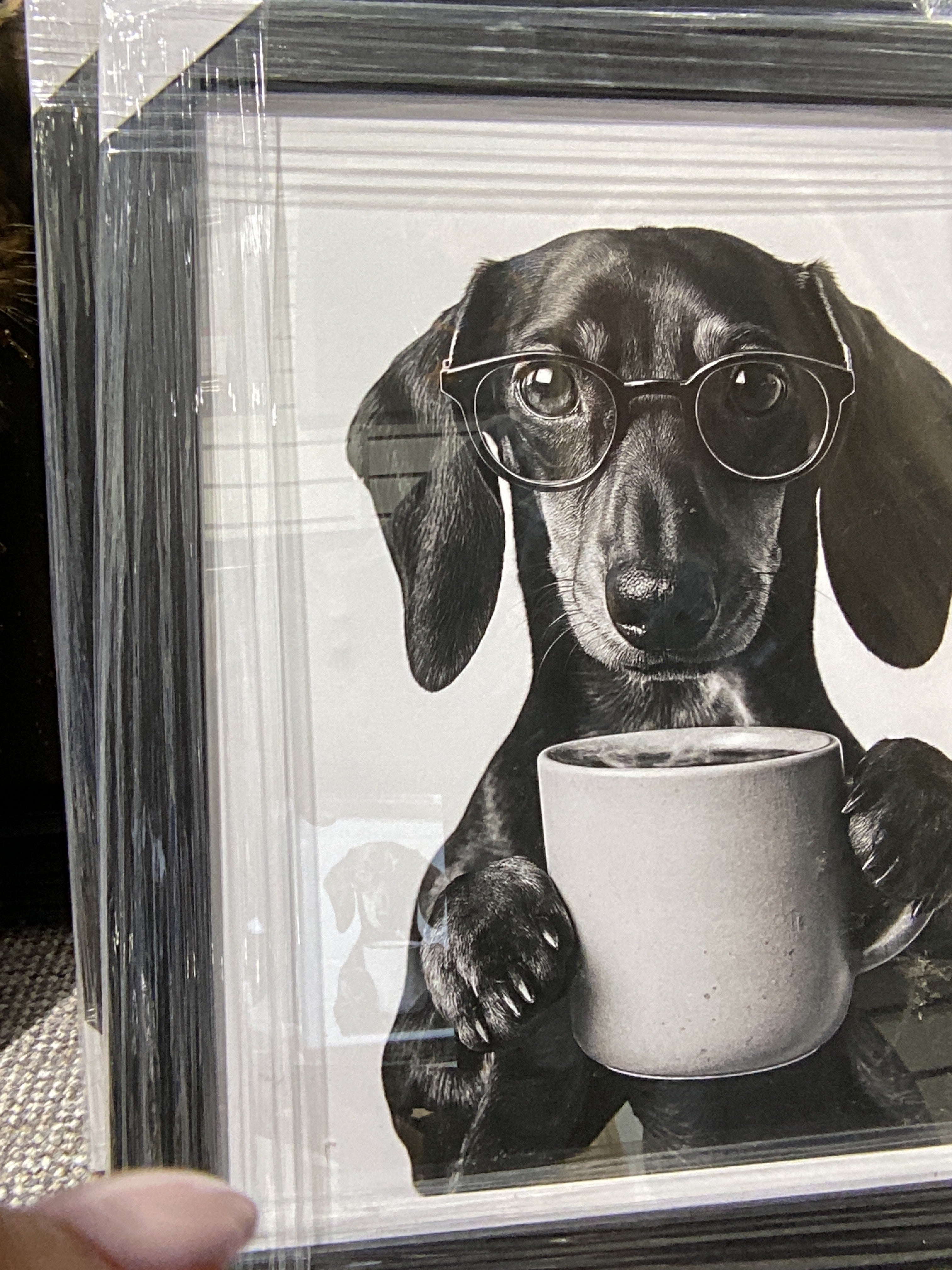 Dashound with brew 50X40 AN2904 FN39 BLACK PLAIN (15407558099322)