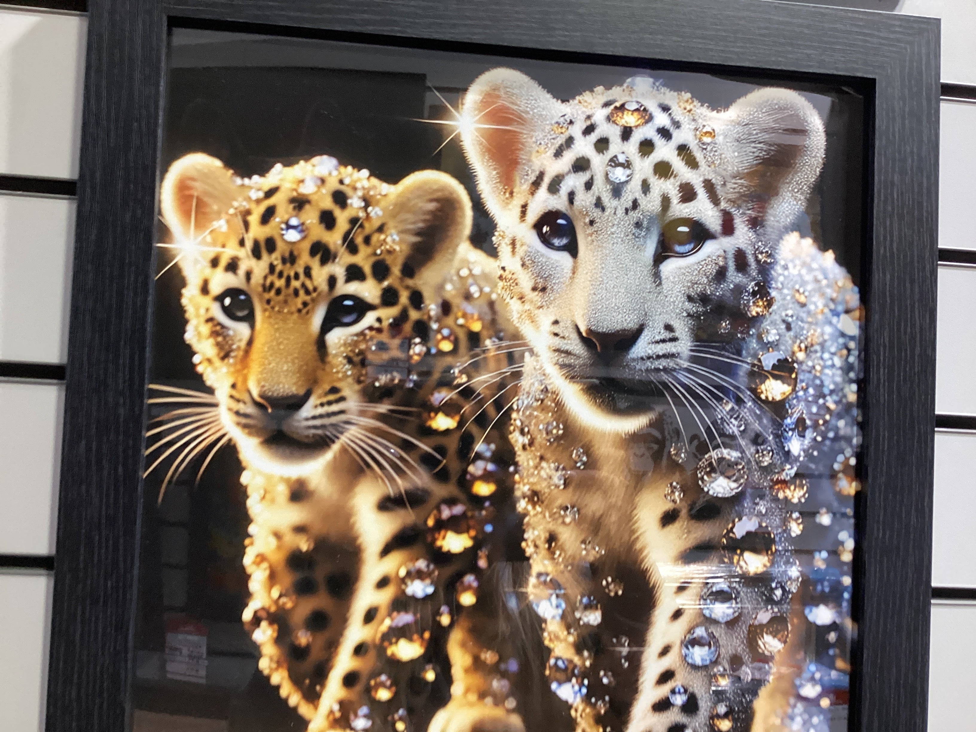 Baby tigers 40X40 AN2576 FN39 BLACK PLAIN - AMC Furniture