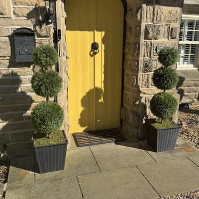 Pair of Artificial Topiary Ball Trees – UV Resistant & Maintenance-Free