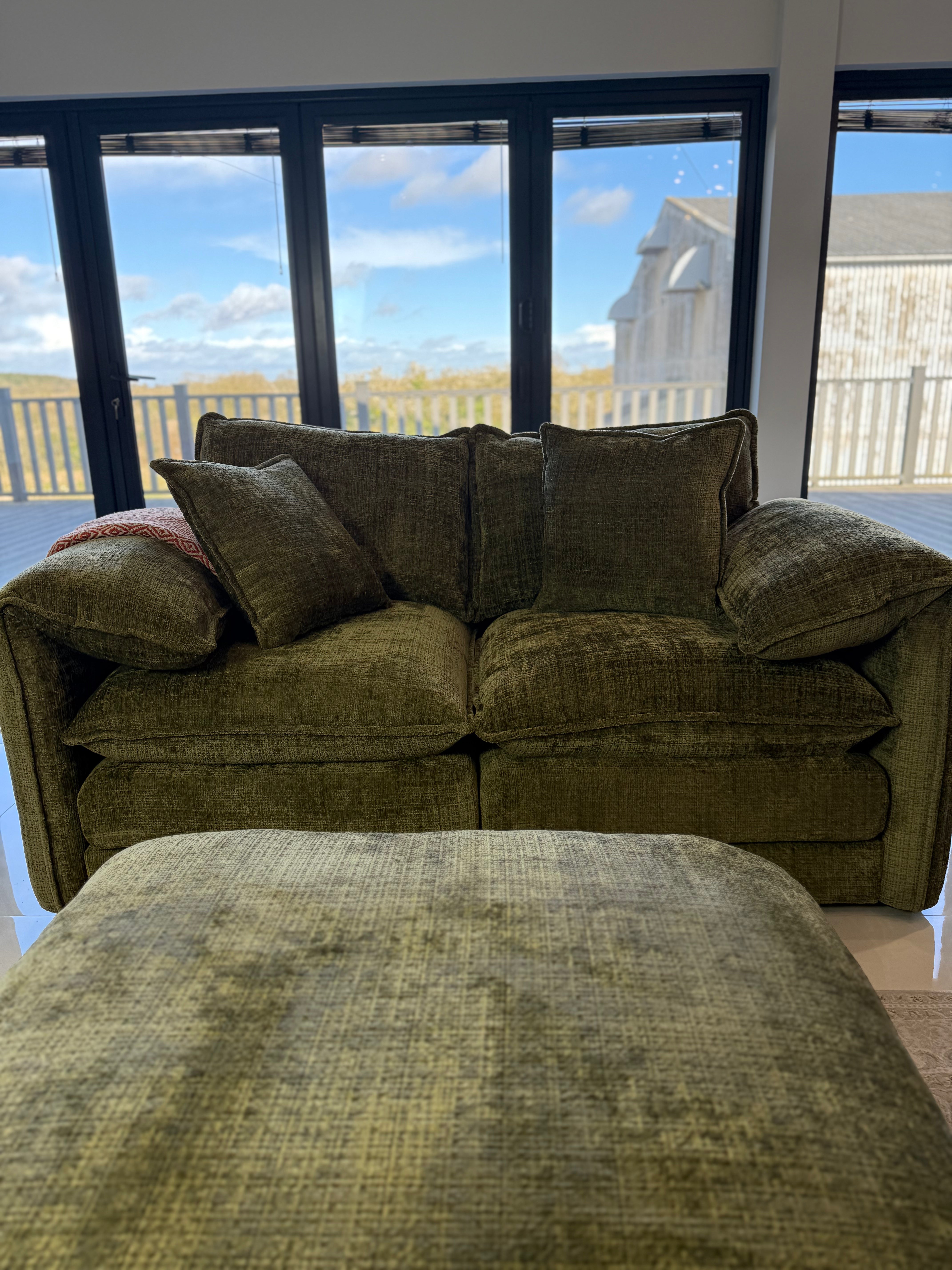 Aria 2 Seater Sofa in Green - AMC Furniture