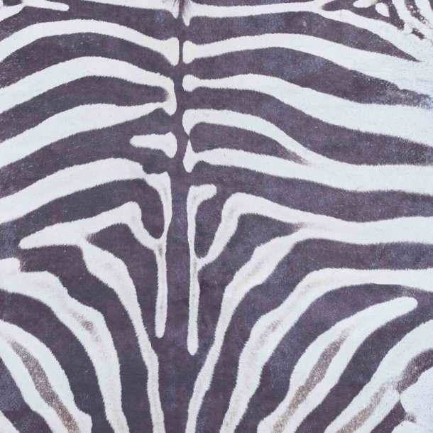 Faux Zebra Print Black/White 155 x 195 (6584620056640)