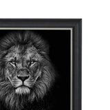 Lion with Paw (90cm x 90cm) (6578238292032)