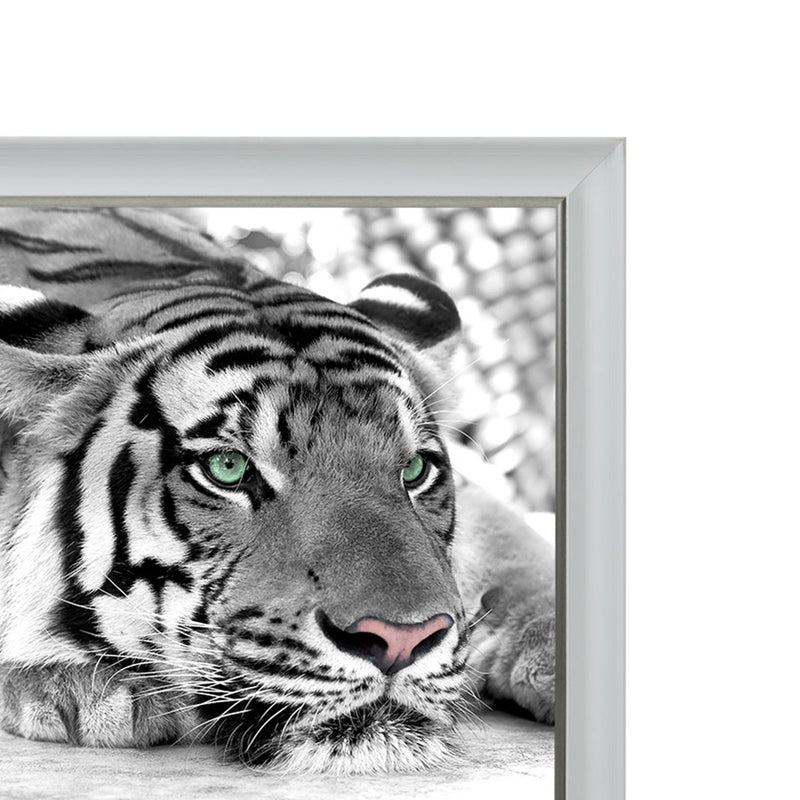 Green Eyed Tiger (90cm x 90cm) (6578238324800)