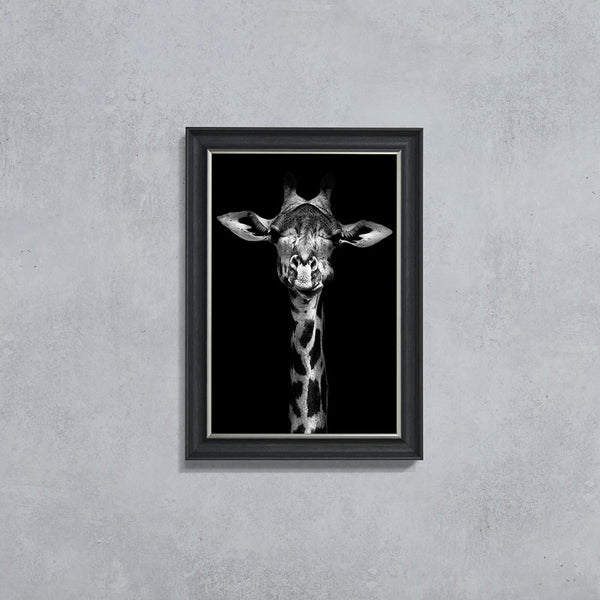 Giraffe (105cm x 75cm) (6578238980160)