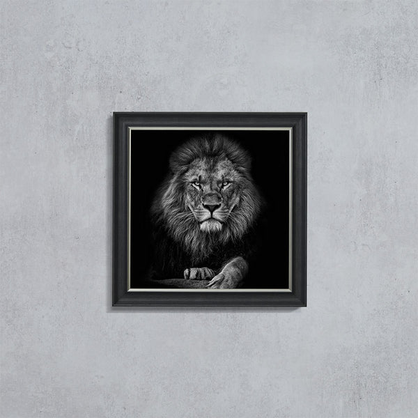 Lion with Paw (90cm x 90cm) (6578238292032)